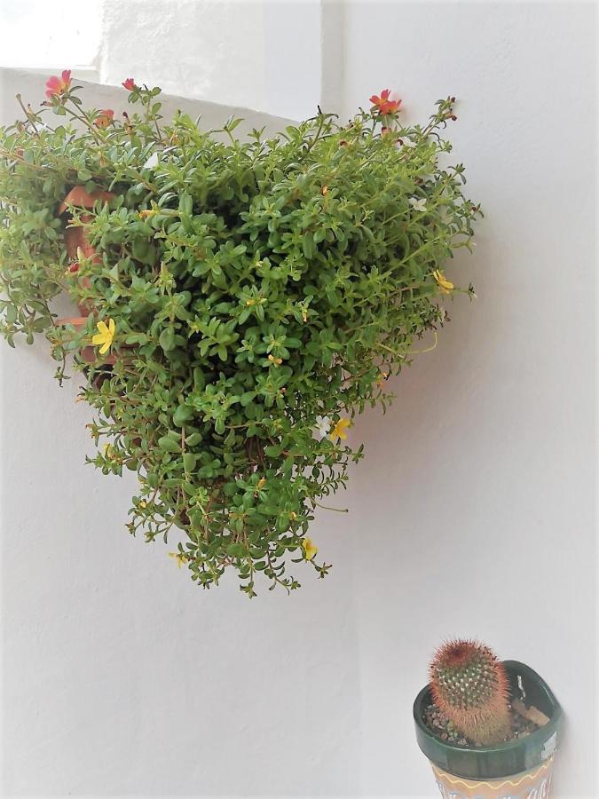 Budda House Puerto Del Carmen. ティアス エクステリア 写真